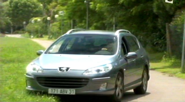 2008 Peugeot 407 SW [6E]