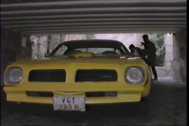 1976 Pontiac Firebird Trans Am