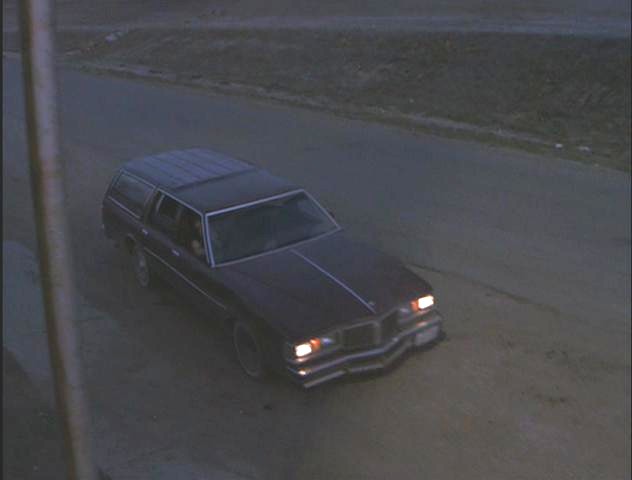 1980 Pontiac Laurentian Safari