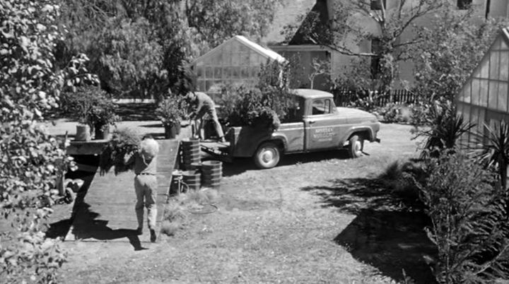 1957 Ford F-100