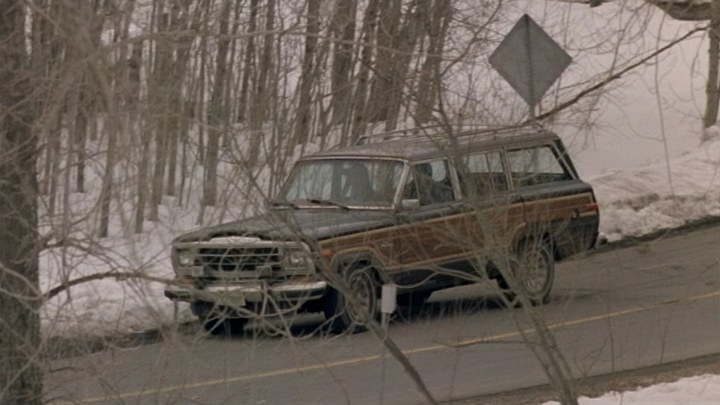 1984 Jeep Grand Wagoneer [SJ]