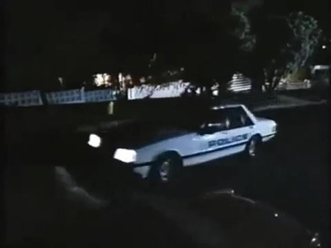 1984 Ford Falcon [XF]