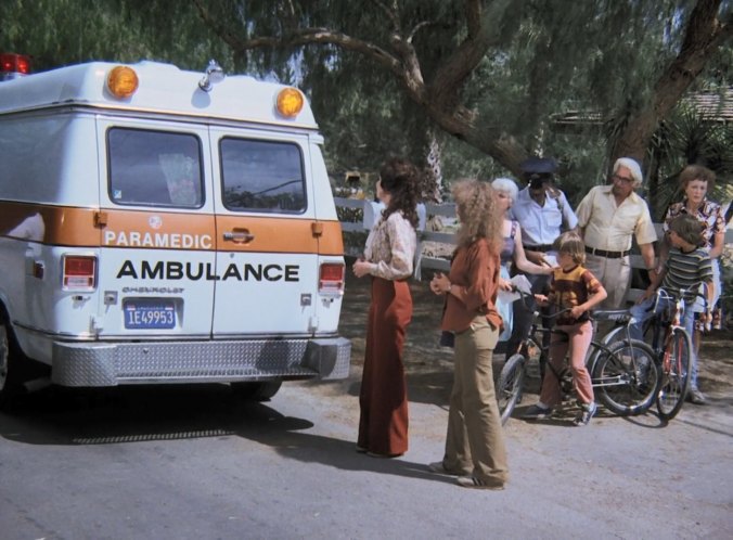 1971 Chevrolet Chevy Van