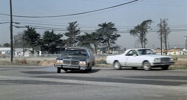 1979 Chevrolet El Camino [W80]