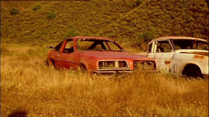 1977 Pontiac Sunbird