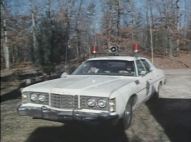 1973 Ford LTD Four-Door Sedan [53H]