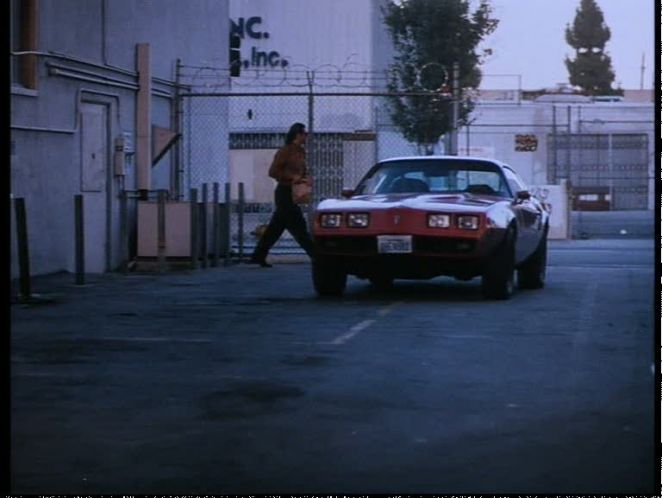 1981 Pontiac Firebird Trans Am