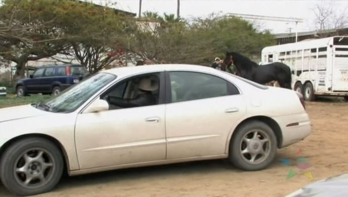 2001 Oldsmobile Aurora 4.0 [GMX160]