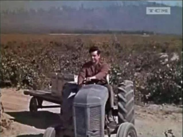 1946 Ferguson TOL 20