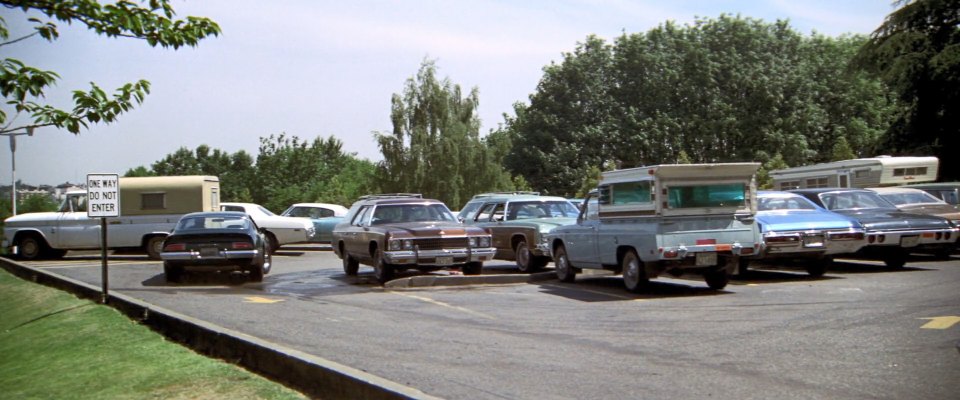 1973 Chevrolet Caprice Estate