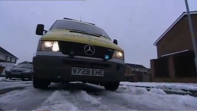 1999 Mercedes-Benz Sprinter 314 D MWB [T1N]