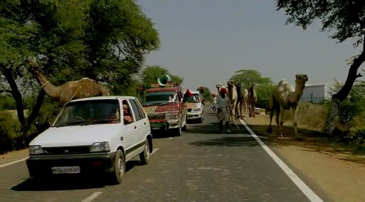 1998 Maruti 800 Type II [SB308]