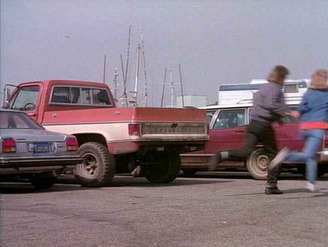 1973 Chevrolet C-10 Fleetside