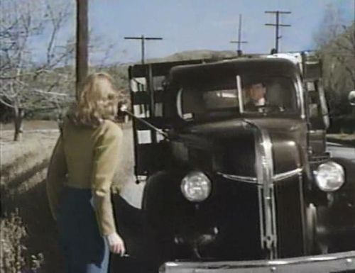 1941 Ford 1-Ton [11Y]