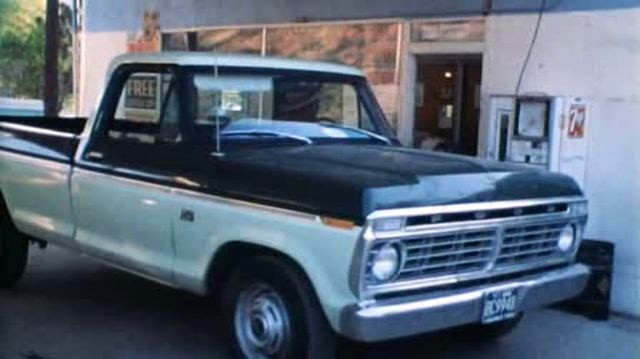 1973 Ford F-Series Regular Cab