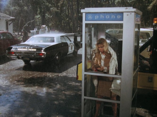 1972 Dodge Polara