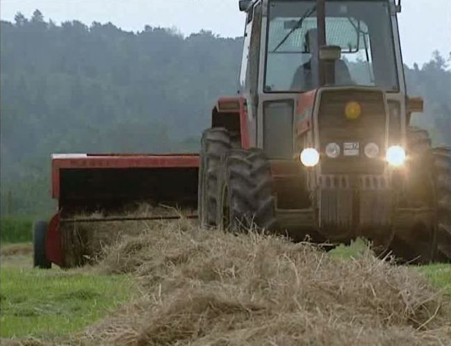 Massey Ferguson 698T