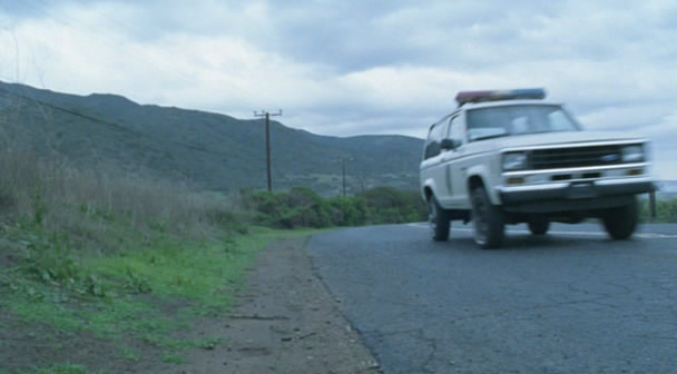 1984 Ford Bronco II [U14]