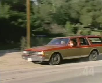 1981 Chevrolet Caprice Estate