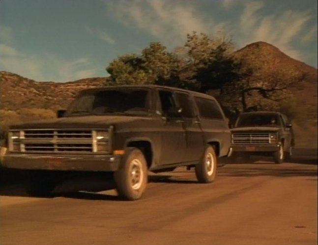 1985 Chevrolet Suburban Custom Deluxe [C-10]