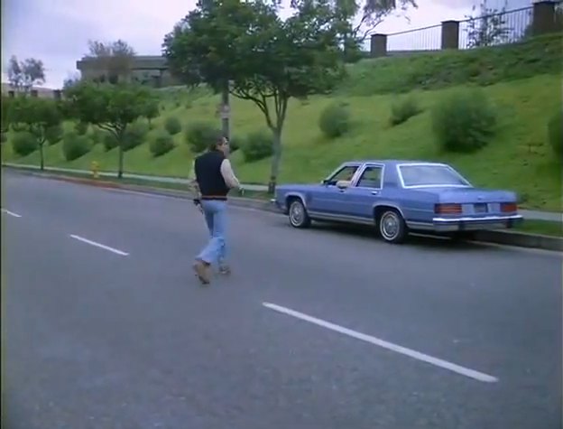 1979 Mercury Grand Marquis [54L]