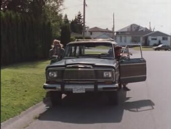 1979 Jeep Wagoneer Limited [SJ]