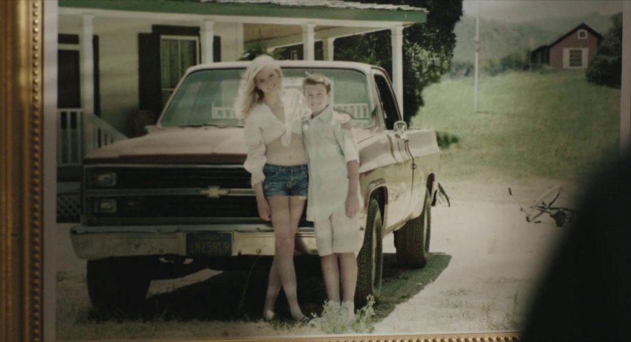 1983 Chevrolet C-20 Silverado Fleetside