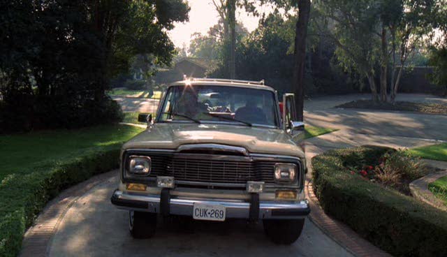 1984 Jeep Grand Wagoneer [SJ]