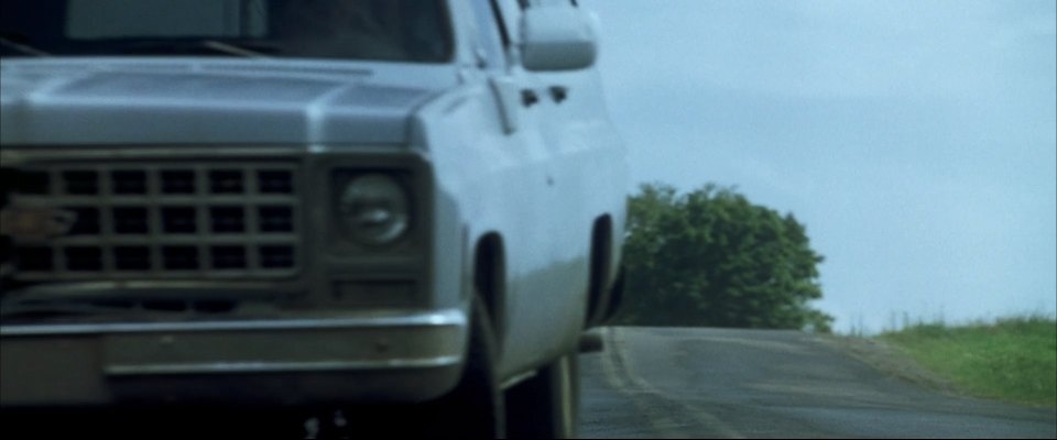 1980 Chevrolet Suburban Custom Deluxe [C-10]