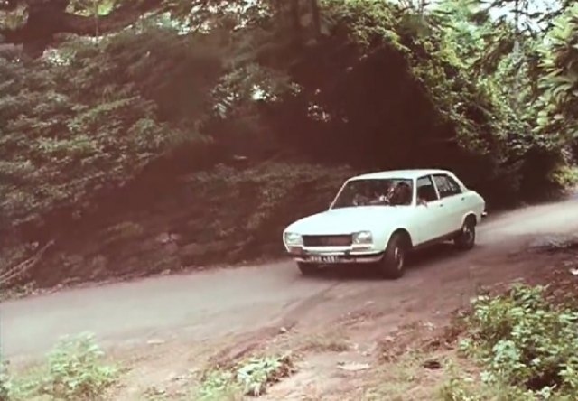 1975 Peugeot 504