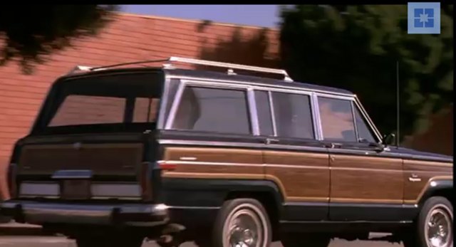 1984 Jeep Grand Wagoneer [SJ]