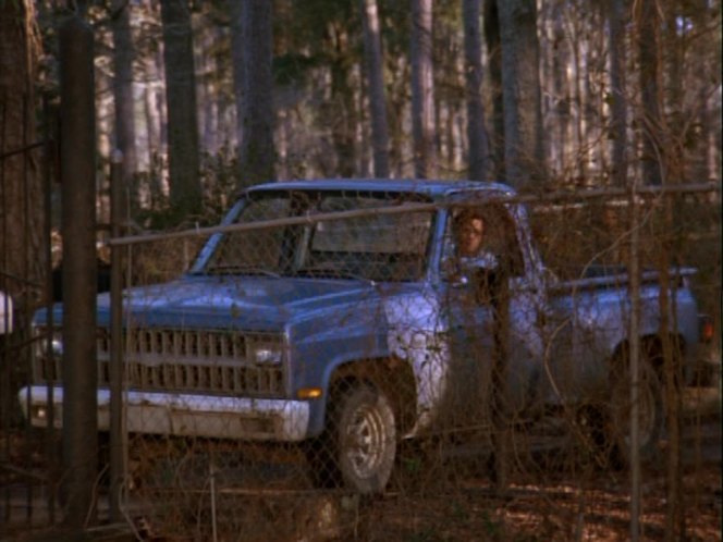 1981 Chevrolet C-10 Stepside Custom Deluxe