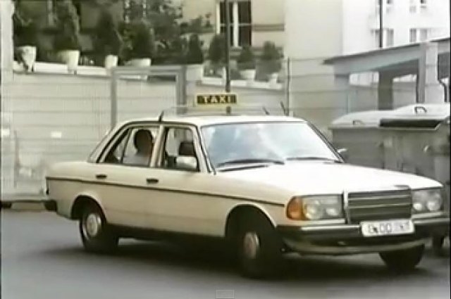 1980 Mercedes-Benz [W123]