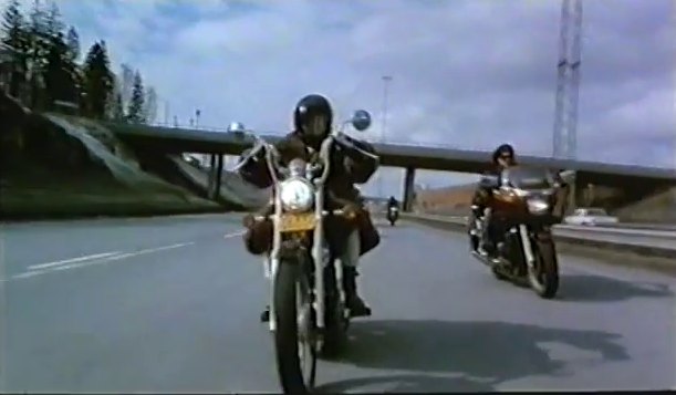 Suzuki VS 800 Intruder