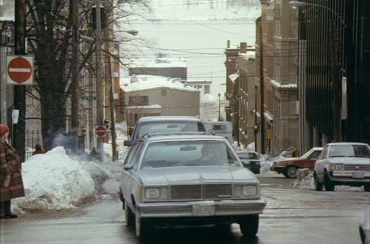 1980 Chevrolet Malibu Wagon Classic Estate