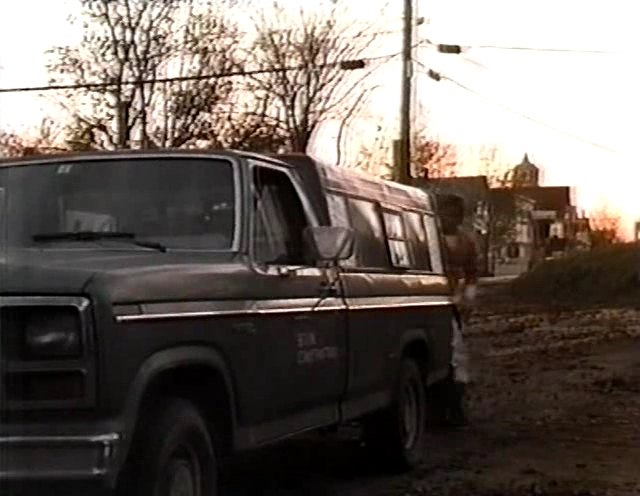 1980 Ford F-Series Regular Cab Custom