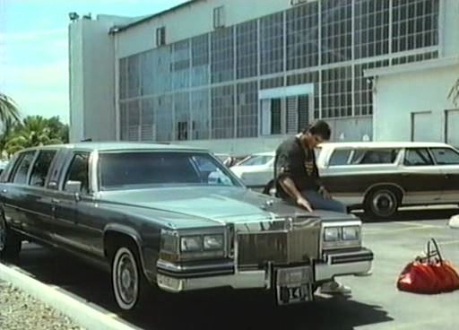 1984 Cadillac Fleetwood Brougham Stretched Limousine Armbruster/Stageway 'Silverhawk'