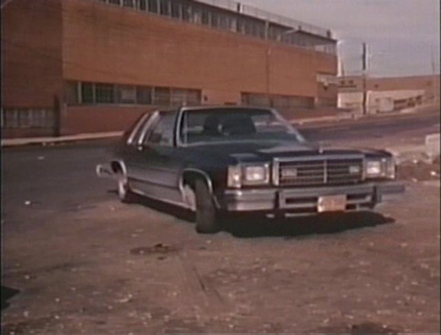 1979 Ford LTD [66H]