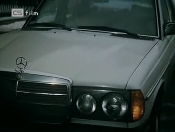 1976 Mercedes-Benz [W123]