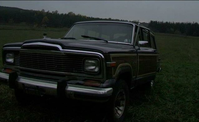 1979 Jeep Wagoneer Limited [SJ]