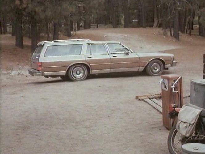 1980 Chevrolet Caprice Estate