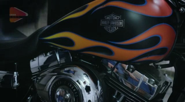 Harley-Davidson