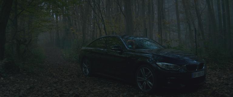 2014 BMW 420d Gran Coupé M Sport [F36]