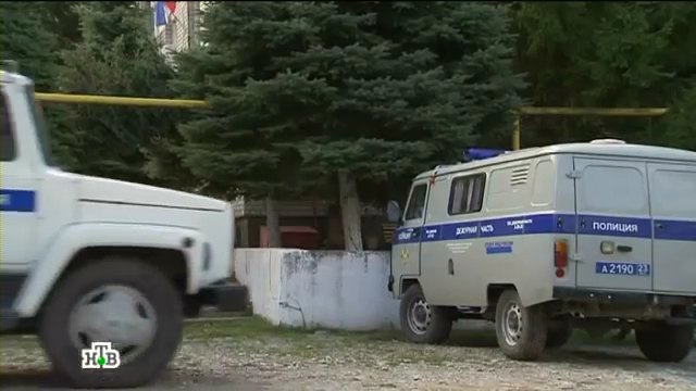 UAZ 3741 Police