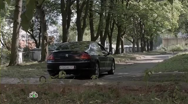 2004 Peugeot 407 [6D]