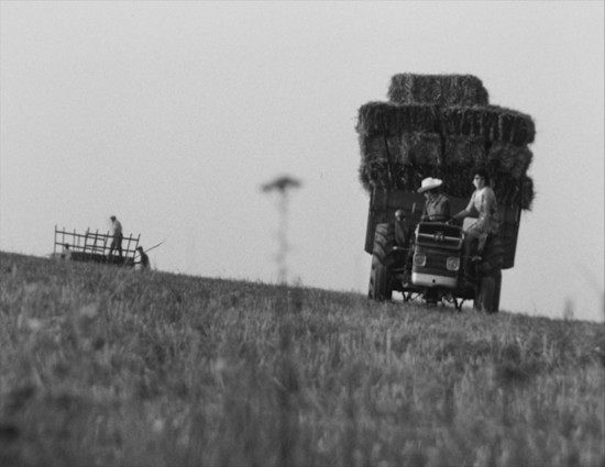 Massey Ferguson 135