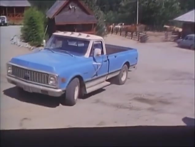 1971 Chevrolet C-Series Fleetside