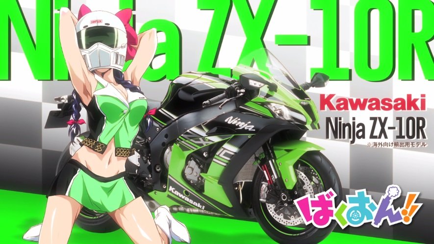 2016 Kawasaki ZX-10R Ninja